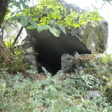 DSCN3232