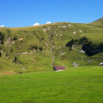 IMG-20190825-WA0014
