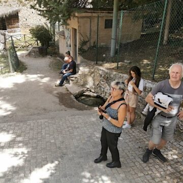IMG_20220701_123203