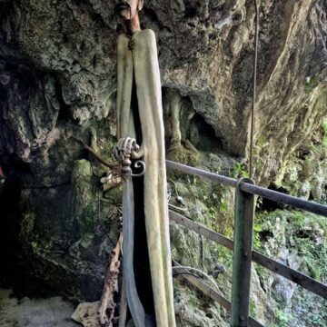 IMG-20260418-WA0015